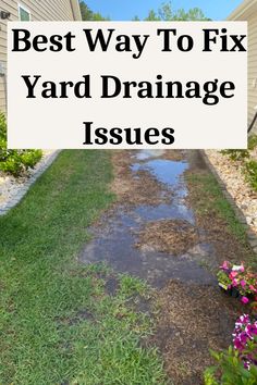 Best Way To Fix Yard Drainage Issues Drainage Solutions Landscaping, Yard Drain, Landscape Drainage, Backyard Drainage, Yard Drainage, Underground Drainage, Landscape Design Ideas, Sloped Backyard, Drainage Solutions