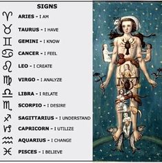 the zodiac signs are depicted in this illustration