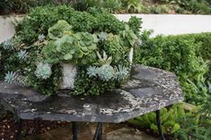 there is a planter on top of a small table in the middle of some bushes