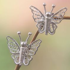 With gossamer wings of silver filigree these butterflies are an enchanting addition to any wardrobe. The sterling earrings are lovingly handcrafted by Kadek Widiani. .925 Sterling silver Gossamer Wings, Filigree Jewelry, Spring Accessories, Silver Post Earrings, Filigree Earrings, Sterling Silver Filigree, Silver Filigree, Jewelry Packaging, Free Jewelry