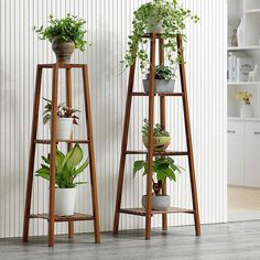 two wooden plant stands with plants on them