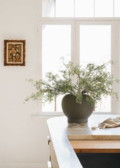 a potted plant sitting on top of a wooden table in front of a window