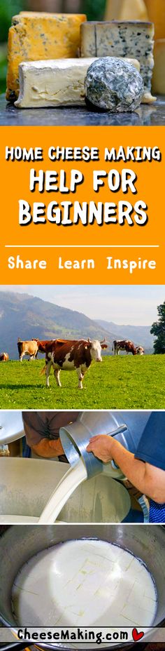 cheese making for beginners with the title home cheese making help for beginners share learn inspire