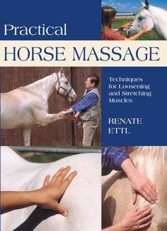 practical horse massage techniques, techniques and practices for horses