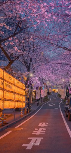 a truck driving down a street under cherry blossom trees