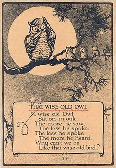 an owl sitting on top of a tree branch next to a sign that says, that wise old owl