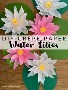 paper flowers with the words diy crepe paper water lilies on them