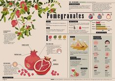 the pomegranates info sheet is full of information