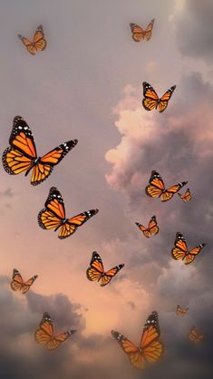 a group of orange butterflies flying through the air with clouds in the backgroud