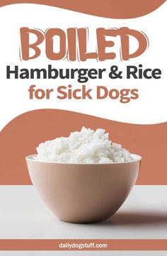 boiled hamburger and rice for sick dogs in a bowl with the title'boiled hamburger and rice for sick dogs '