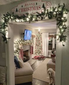 a living room decorated for christmas with lights on the ceiling and a dog sitting in the doorway