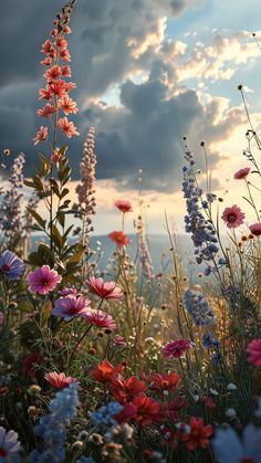 a field full of flowers with the sky in the back ground and clouds in the background