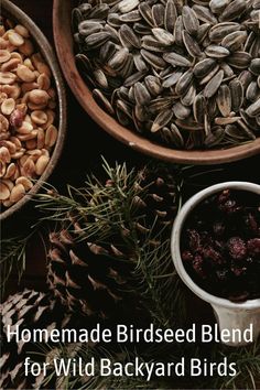 nuts and dried berries are in bowls next to pine cones, pine needles, and fir cones