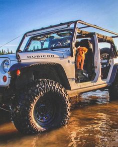 a dog sitting in the driver's seat of a jeep