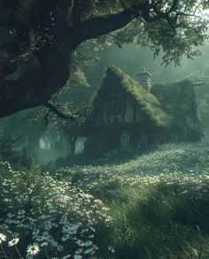 an old house in the middle of a field with white flowers and grass growing on it