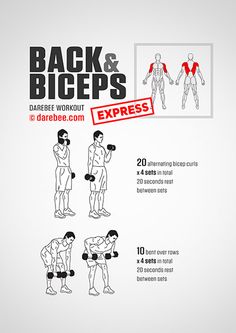 the back and biceps exercise poster is shown