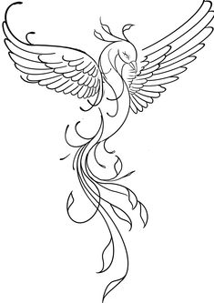 a drawing of a bird with wings flying in the air, on a white background