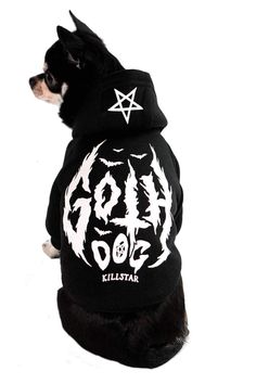 a small dog wearing a black hoodie with white writing on it