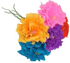 four different colors of flowers on a white background