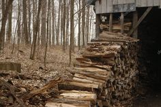 a pile of wood sitting next to a building in the woods