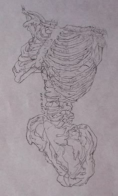 a drawing of a skeleton sitting on top of a piece of paper