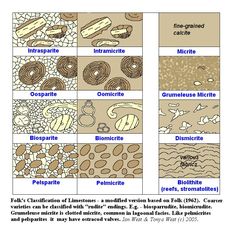 an image of different types of plants