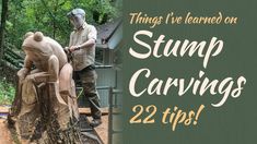 there is a man that is carving a tree stump with the words things i've learned on stump carvings 22 tips