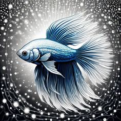 a blue and white fish with bubbles in it's back end, on a black background