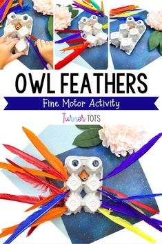 an owl made out of feathers and flowers with text overlay that says owl feathers fine motor activity