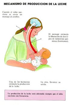 a woman holding a baby in her lap with the words mecanismo de produccion de la leche