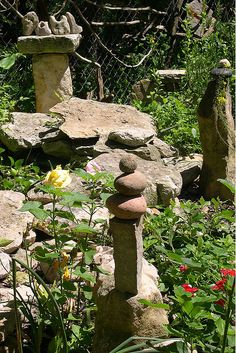 a rock garden with flowers and rocks on the ground