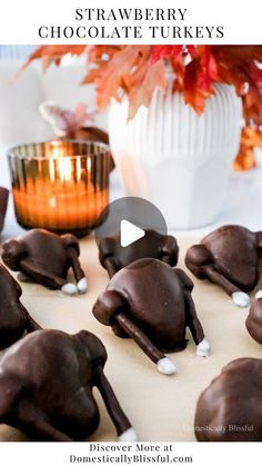 chocolate turkeys with marshmallows in the shape of dogs on a table