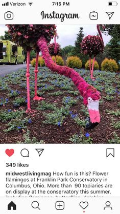 an instagramted photo with pink flowers and fake flamingos