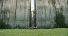 two tall concrete gates with vines growing on them and grass in the foreground, against a blue sky