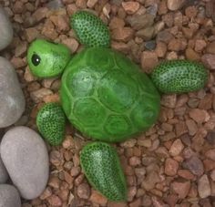 a green turtle laying on top of rocks next to some stones and pebbles in the ground