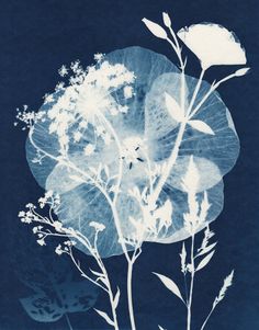 a blue and white photograph of flowers on a dark background