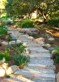 a stone path is surrounded by plants and rocks