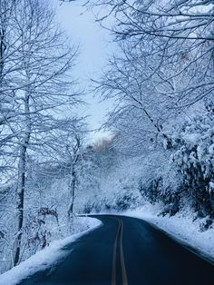 snow covered roads lined with trees during winter North Carolina Winter, Snowy Road, Boone North Carolina, Winter Road, Boone Nc, Durham North Carolina, Snowy Winter, Durham Nc, Cozy Cabin