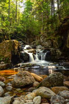 a stream running through a lush green forest filled with lots of rocks and water surrounded by trees