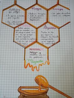 a drawing of honeycombs with words written on them and an image of a beehive