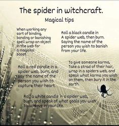 Spiders In Witchcraft, Eyebright Witchcraft, Black Widow Spider Spiritual Meaning, Spider Omens Witchcraft, Spider Witchcraft, Witchcraft Halloween, Hoodoo Spells, Traditional Witchcraft