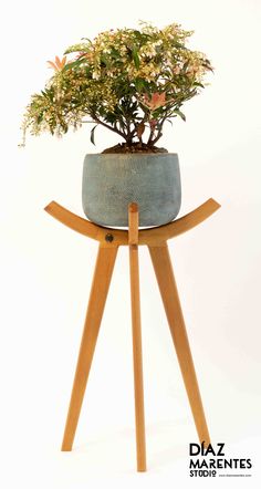 a potted plant sitting on top of a wooden stand with flowers growing out of it