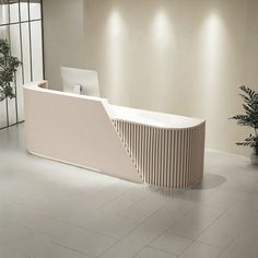 a white reception desk in an office with potted plants on the side and windows behind it