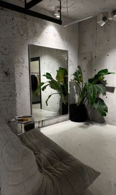 a room with a couch, mirror and plant in it