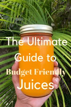 the ultimate guide to budget friendly juices