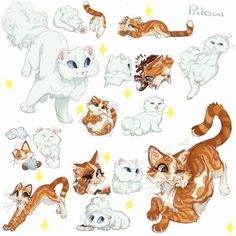 a bunch of cats that are in the air with stars on it's back