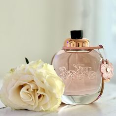 Brand New In A Tester Box. Smoke-Free/Pets-Free Home. Ship Asap Coach Floral Perfume, Floral Perfume, Coach Floral, New Color, Brand New, Floral, Pink, Women Shopping, Color