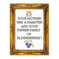 a cross stitch picture frame with the words your mother was a hamster and your father's smell of elderberries