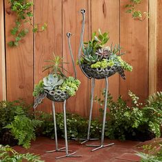 two metal bird planters with succulents and plants in them on a patio