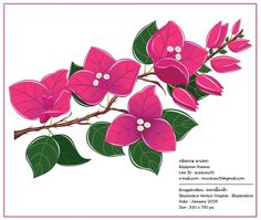 a pink flower with green leaves is on a white background and there are other flowers in the frame